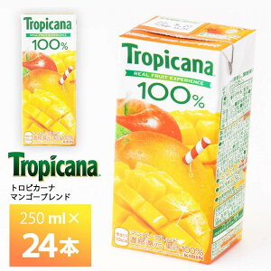 LrobW gsJ[i 100% }S[uh 250ml×24{  ʏ`100% ʏ` pbN 퉷ۑ ZkҌ }S[W[X S