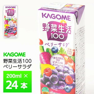 JS ؐ100 x[T_ 200ml×24{  ؃W[X  Ösgp ؉ʎ~bNX 100% 퉷ۑ pbN Ԃǂ r^~A