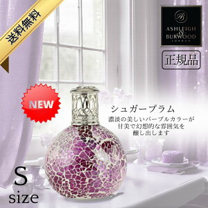 yVizAVC&o[Ebh tOXv Ashleigh&Burwood STCY VK[v AVCo[Ebh F  j v[g Mtg 蕨 oYj  jԂ 