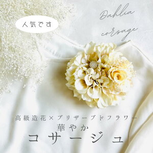 _A RT[W N[zCg vU[uht[ w Ǝ    tH[}p