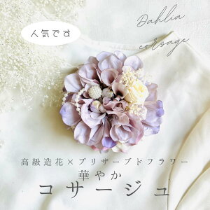 _A RT[W x_[N[ vU[uht[ w Ǝ    tH[}p