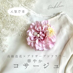 _A RT[W TNsN vU[uht[ w Ǝ    tH[}p