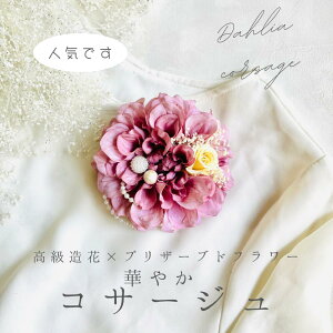 _A RT[W [ vU[uht[ w Ǝ    tH[}p