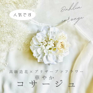 _A RT[W zCg vU[uht[ w Ǝ    tH[}p