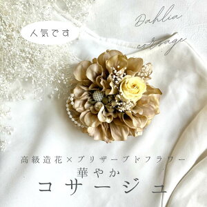 _A RT[W x[W vU[uht[ w Ǝ    tH[}p