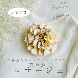 _A RT[W N[x[W vU[uht[ w Ǝ    tH[}p