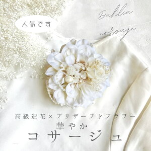 _A RT[W N[sN vU[uht[ w Ǝ    tH[}p