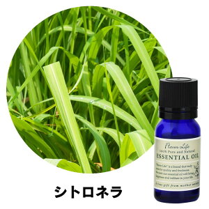 �t���[�o�[���C�t �G�b�Z���V�����I�C�� �V�g���l�� 10ml ���� ���R �A���}�e���s�[ �����b�N�X ���� ���N �i�`������ ���e ���t���b�V�� �X�g���X�y�� �o�����X ���� �E�F���l�X �G�l���M�[ 