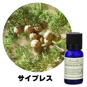 t[o[Ct GbZVIC TCvX 10ml  R A}es[ bNX  N i` e tbV XgXy oX  EFlX GlM[ 