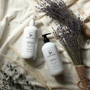 I[KjbNVv[ RfBVi[yZbgzCX`CWO XJvwA 10ml PIANTE FELICI sAetF[` fB[X Y ɗD _ q ێ m