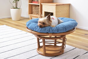 yybgXc[z Xc[ ֎q `FA ybg Ck lR  L NbV ^ [   rO Aj}