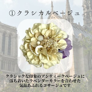 yRT[Wzw Ǝ    Ӊ ܎O \ tH[} }}X[c p[eBhX _A vU[uht[  t[ [X s Nbv rW[ 