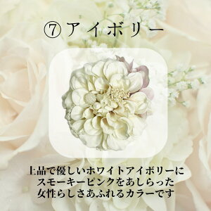 yRT[Wzw Ǝ    Ӊ ܎O \ tH[} }}X[c p[eBhX _A vU[uht[  t[ [X s Nbv rW[ 