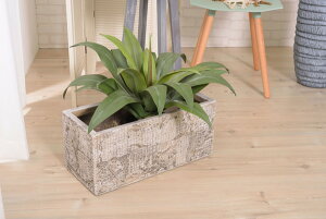 ytFCNO[z ϗtA lHϗtA AKx t  CeA  O[ [t  K[f