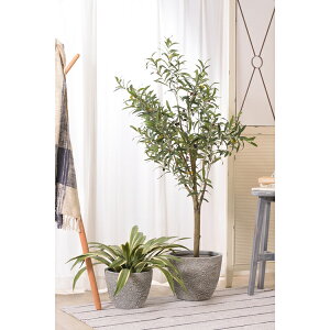 yO[x[Xz x[X ꕨ ϗtA  Aؔ CeA CeAG  