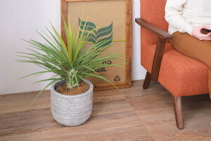 yO[x[Xz x[X ꕨ ϗtA  Aؔ CeA CeAG  