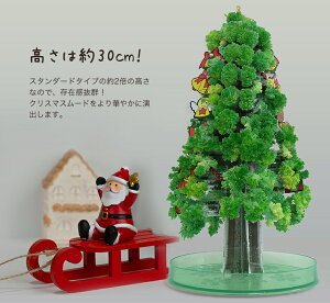 楽天市場 本家 クリスマスツリー 卓上 マジッククリスマスツリーラージタイプ 自分で育てる不思議なツリー マジックツリー おとぎの国 おとぎの国 楽天市場 本家 クリスマスツリー 卓上 マジッククリスマスツリーラージタイプ 自分で育てる不思議なツリー マジックツリー おとぎの国 おとぎの国