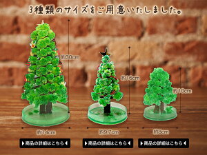 楽天市場 本家 クリスマスツリー 卓上 マジッククリスマスツリーラージタイプ 自分で育てる不思議なツリー マジックツリー おとぎの国 おとぎの国 楽天市場 本家 クリスマスツリー 卓上 マジッククリスマスツリーラージタイプ 自分で育てる不思議なツリー マジックツリー おとぎの国 おとぎの国