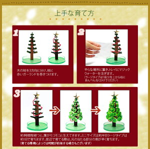 楽天市場 メール便 クリスマスツリー 卓上 マジック クリスマスツリー 12時間で育つ不思議なクリスマスツリー マジックツリー おとぎの国 おとぎの国 楽天市場 メール便 クリスマスツリー 卓上 マジック クリスマスツリー 12時間で育つ不思議なクリスマスツリー マジックツリー おとぎの国 おとぎの国