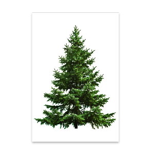 y[ցzNX}Xc[ ^yXg[ Ǌ|  k 唻 145cm 95cm nEB AȖ؁yƂ̍z