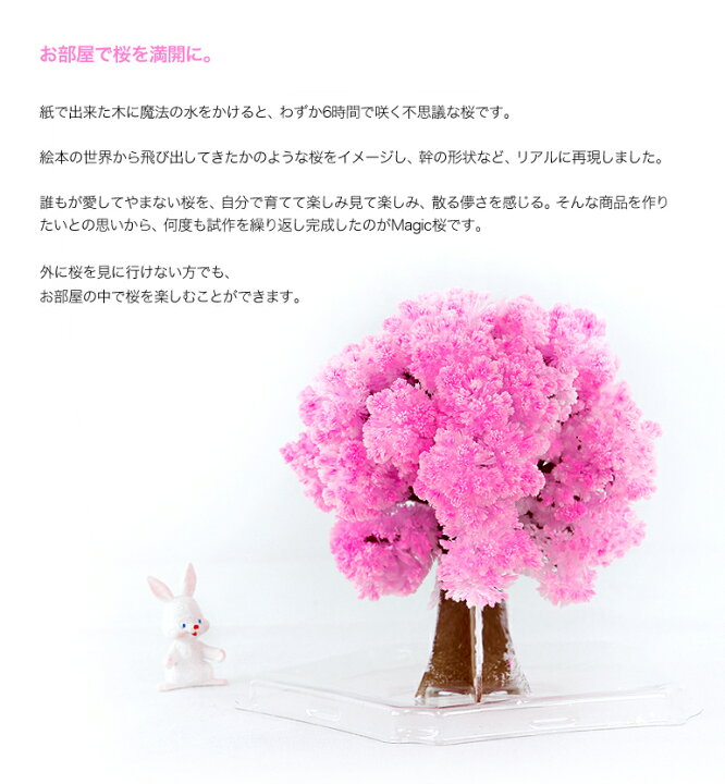 楽天市場 メール便 マジック桜 Magic桜ミニ 木花咲耶姫ver 6時間で咲くサクラ 海外へのお土産に おうち花見 おとぎの国 おとぎの国 楽天市場 メール便 マジック桜 Magic桜ミニ 木花咲耶姫ver 6時間で咲くサクラ 海外へのお土産に おうち花見 おとぎの国 おとぎの国
