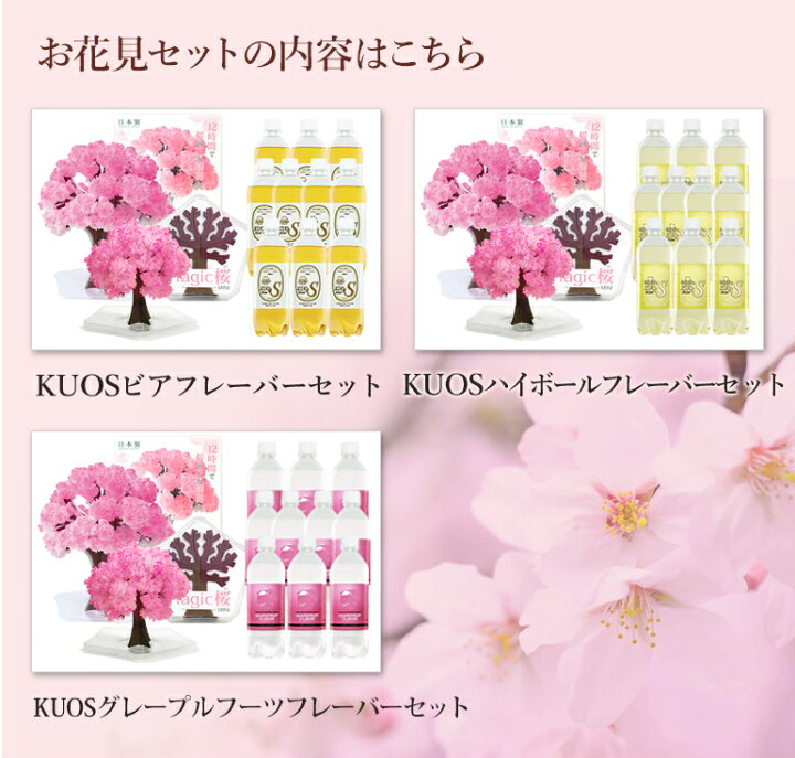 楽天市場 マジック桜と炭酸水kuos クオスセット おうちでお花見気分が味わえるお花見セット おとぎの国 楽天市場 マジック桜と炭酸水kuos クオスセット おうちでお花見気分が味わえるお花見セット おとぎの国