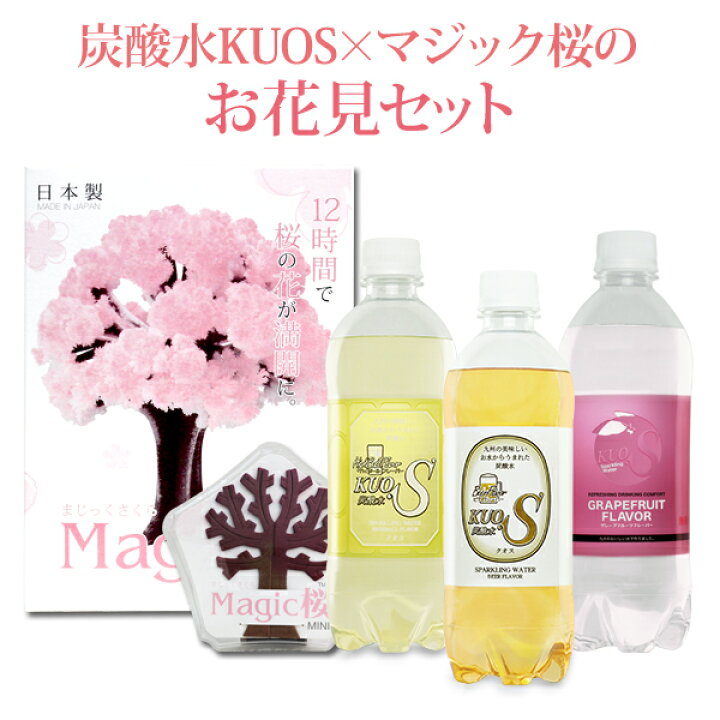 楽天市場 マジック桜と炭酸水kuos クオスセット おうちでお花見気分が味わえるお花見セット おとぎの国 楽天市場 マジック桜と炭酸水kuos クオスセット おうちでお花見気分が味わえるお花見セット おとぎの国