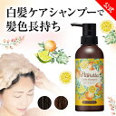 【 ハリエッタ カラーシャンプー 染毛料 300mL 】シャンプー カラーケアシャンプー ヘア カラーシャンプー 白髪染め 白髪ケア 白髪用 白髪隠し ベルガモシトラス ベルガモット シトラス 香り ダークブラウン ライトブラウン ノンジアミン ノンシリコン 日本製 生協 公式