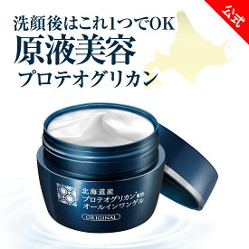 【 北海道産 プロテオグリカン 配合 オールインワンゲル 90g 】1個 / 2個組 / 3個組 オールインワン オールインワンジェル 保湿ジェル 化粧水 乳液 クリーム パック 保湿 高保湿 エイジングケア 化粧品 たるみ ほうれい線 乾燥肌 スキンケア ギフト 女性 生協 公式