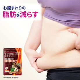機能性表示食品　すらり毎日和漢ジンジャー 60粒 30日分 日本製　肥満気味の方のお腹の脂肪を減らす 中性脂肪の吸収を抑える ガレート型カテキン 内臓脂肪 皮下脂肪 サプリ サプリメント