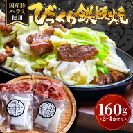 本家博多亭【びっくり鉄板焼】 ｜国産豚ハラミ 豚肉 豚ハラミ ニンニク 辛味噌 冷凍 鉄板焼き 福岡 博多…