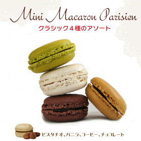 マカロン クラシック系4色 （ピスタチオ・バニラ・コーヒー・チョコ 各3個）合計12個入 フランス産 冷凍
