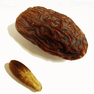 f[c Ȃ߂₵̎ Z~hC 1Kg LVRY ①