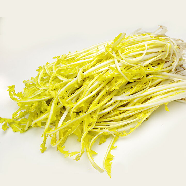 楽天市場】ピサンリ（タンポポの葉）500g フランス産フレッシュ野菜  