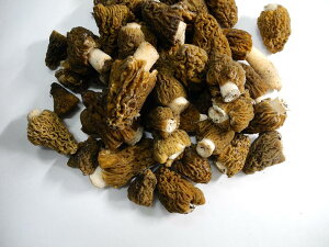 Ⓚ [iA~KTjAWAY ̂ 500g Eo[j