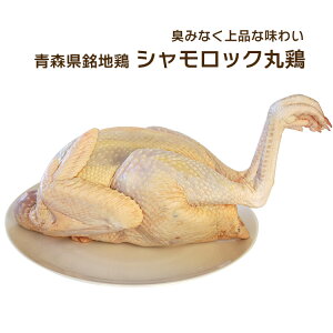 XVbN VbN ی{ H 1.6`2.5Kg Xn{VbN ①EⓀI ǉ324~œtł܂@yYnցz