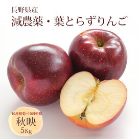 楽天市場 デザート フルーツ 葉とらずりんご 男の台所