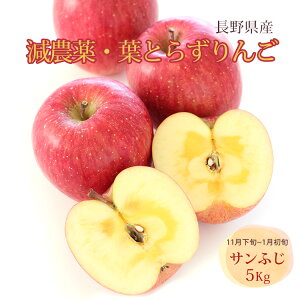  tƂ炸 ypz Tӂ _ 5Kg 쌧Y MB k_ Yn 11{1{ tƂ炸 S ܂ӂ y䂤pbNŔzz