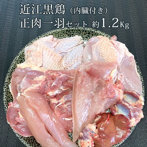 ߍ]{ HZbg i ނ˓  e2j ty 1H 4,088~z1.2Kg s Kg3,407~ōČvZ ꌧY n{ Yn Y ᒹ { ①