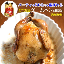 チキン 丸鶏 雛鳥 ゲームヘン 1羽 約500g アメリカ産 鶏肉 1-2人用 小サイズ 参鶏湯 丸焼き ローストチキン 丸揚げ まるごとロースト 参鶏湯 唐揚げ 　Xmas クリスマス 送料無料