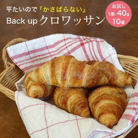 ぺったんこクロワッサン 冷凍 生地 ベイクアップ 40g×10個 パン生地 クロワッサン生地 フランス産【お試し・袋入り】