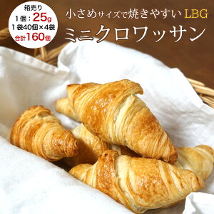 NbT y ~jNbT LBG 25g 1ܖ40×4 v160 Ⓚ pn NbTn tXY Ɩp yz