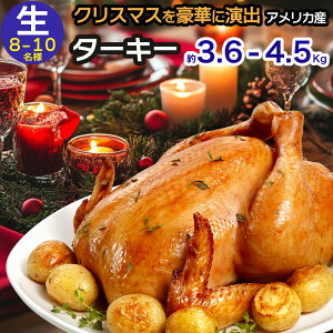 8`10l ^[L[ ی{ NX}X ʒ ^ 8-10|hi3.6`4.5KgA8-10lbj [Xgp  Ⓚ AJY  Ӎ CfBbV ۂ H z[ [Xg^[L[p 