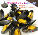 「完全予約制」活ムール貝 AOCモンサンミッシェル産1.4Kg(蔵)　毎週木曜締切　翌木曜日発送 ランキングお取り寄せ