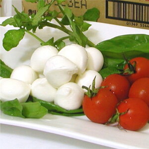 ЂƂ`F[bc@ kCY ① 96gi12jx12pbN tbV`[Y  e TEj