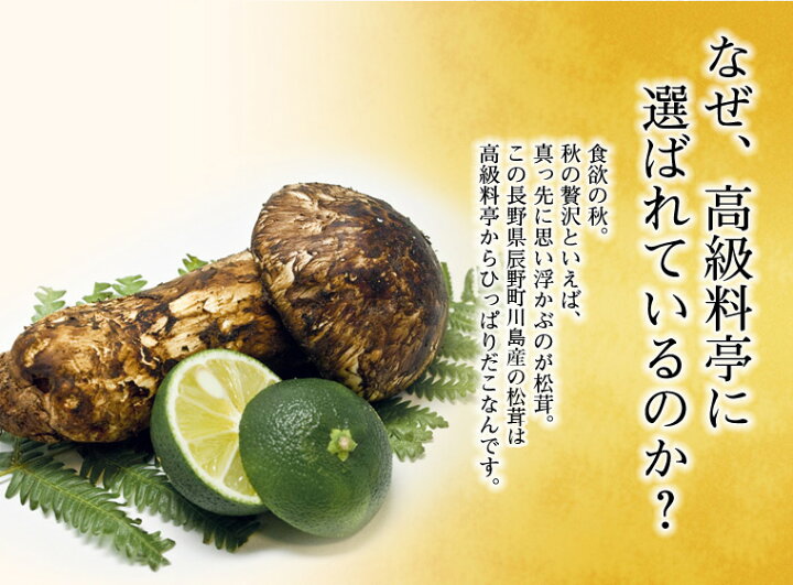 楽天市場】【販売開始！！】松茸 まつたけ 国産 600g 6〜12本 マツタケ 