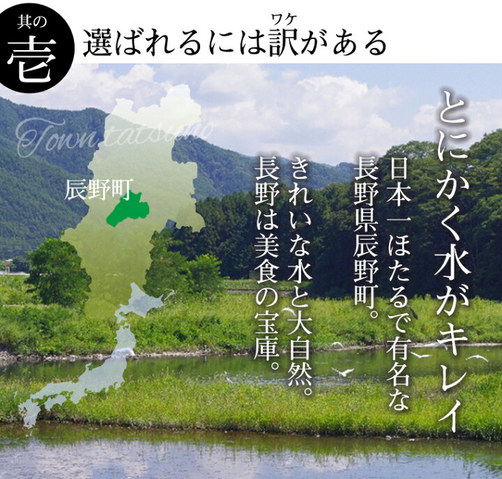 楽天市場】【販売開始！！】松茸 まつたけ 国産 600g 6〜12本 マツタケ 