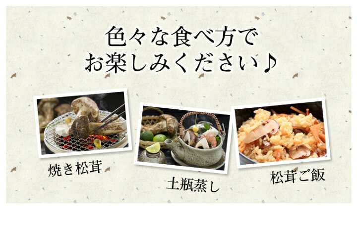 楽天市場】【販売開始！！】松茸 まつたけ 国産 600g 6〜12本 マツタケ 