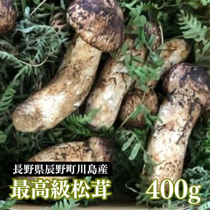 楽天市場】国産 松茸 まつたけ 400g 4〜10本 マツタケ 長野 産地直送 