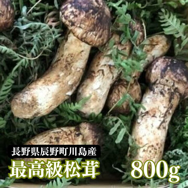 楽天市場】国産 松茸 まつたけ 800g 8〜16本 マツタケ 長野 産地直送  